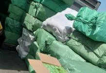 La douane annonce la saisie de médicaments de contrebande au port de Nouakchott