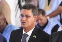 Choix de Ould Cheikh Maa Elainine comme secrétaire général du Conseil des affaires mauritano-algérien
