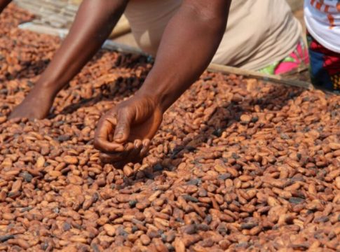 L'Ouganda accueille un sommet d'urgence sur le programme global de développement de l'agriculture en Afrique