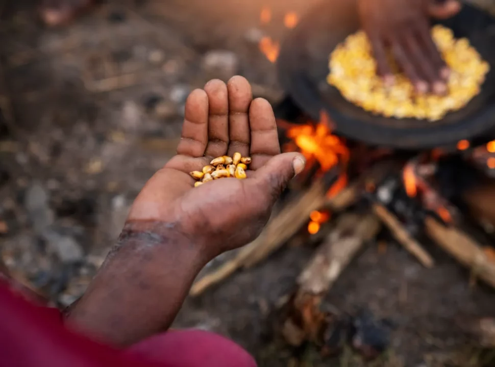 La FAO met en garde contre une aggravation de la faim au cours des sept prochains mois
