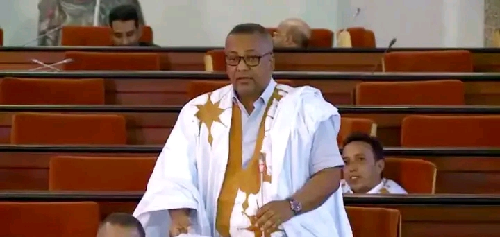 Un parlementaire loyaliste accuse les groupes d'opposition de s'opposer aux intérêts du peuple mauritanien