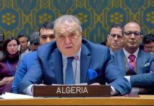 Algérie : la solution juste au problème du Sahara consiste à permettre au peuple sahraoui de décider de son destin
