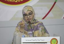 La ministre de l'Environnement s'engage à appliquer strictement le code forestier pour lutter contre les feux de brousse