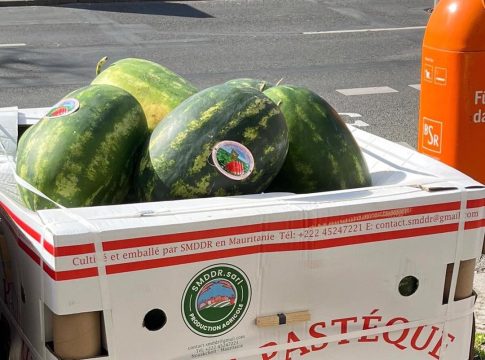Un journal marocain : Le port de Tanger est encombré de camions de pastèques mauritaniennes destinées à l'exportation vers l'Europe