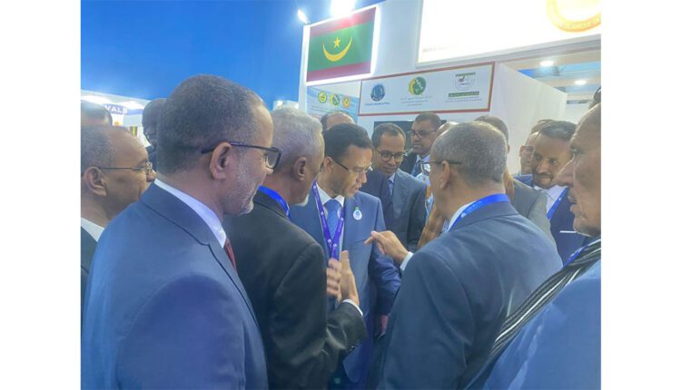 Agadir : Participation du ministre de la pêche à la foire des produits de la mer d’Agadir “Aliotis