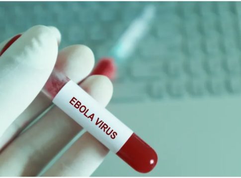 La Croix-Rouge met en garde contre une épidémie d'Ebola due à la violence armée dans l'est du Congo