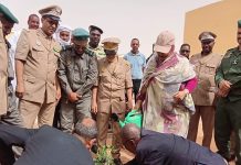 La ministre de l'Environnement lance des projets de reforestation et d'agriculture à Adrar