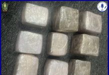 Plus de 6 kilogrammes de drogues transporté par un étranger saisis à un poste frontière