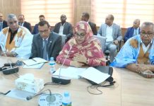 Nouakchott : une commission parlementaire examine le budget du ministère de l'Environnement et du Développement durable