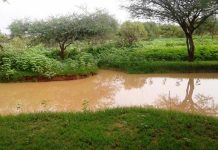 Prévisions d'une saison des pluies normale mais déficitaire dans les zones agricoles de Mauritanie