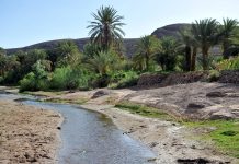 Avec un financement de 13 milliards de dollars. Le Maroc signe des accords pour dessaler l'eau de mer et promouvoir les énergies renouvelables