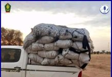 La gendarmerie déjoue des opérations de contrebande dans différentes régions de Sélibabi