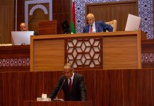 Le ministre de l'Énergie présente devant le parlement les mesures du gouvernement pour traiter les coupures d'électricité à Nouakchott et dans les villes de l'intérieur