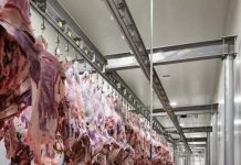 Le gouvernement alloue 10 milliards d'anciennes ouguiyas à la construction d'un abattoir moderne à Toujounine