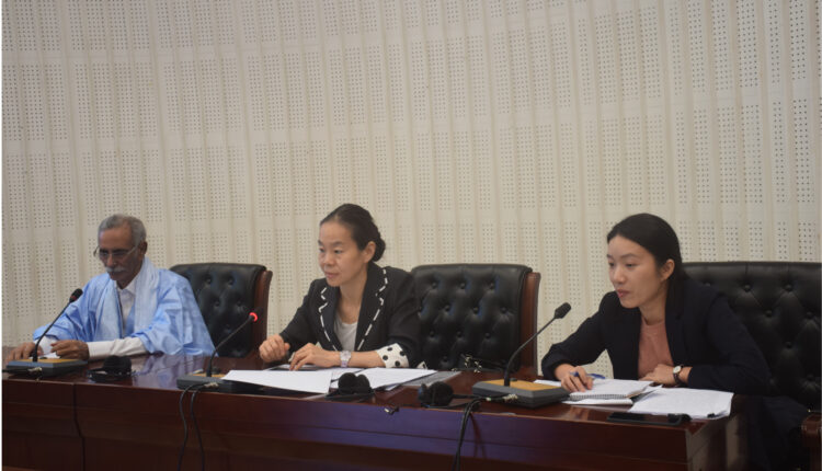 Le modèle chinois exposé en Mauritanie