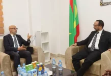 Le Brésil invite la Mauritanie à découvrir son expérience dans le domaine de l'élevage