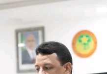 La Mauritanie et l'Union européenne examinent les moyens de développer leur coopération dans le domaine numérique
