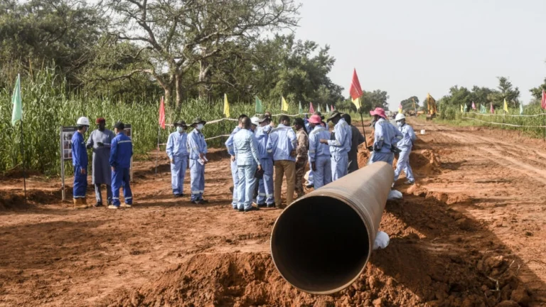 Congo : 14 Chinois détenus pour exploitation minière illégale libérés