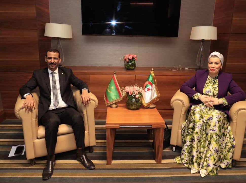 La Mauritanie et l'Algérie discutent des moyens d'améliorer les conditions professionnelles des artistes
