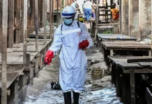 Plus de 200 décès dus à l’épidémie d’Ebola en République démocratique du Congo