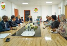 La Mauritanie et la Chine discutent de la coopération environnementale