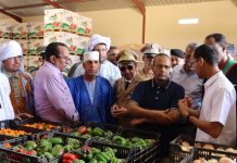 Ministre de l’Agriculture : Le président accorde une grande importance au développement du secteur agricole et à la réalisation de la souveraineté alimentaire