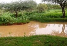 Les prévisions météorologiques annoncent des pluies sur plusieurs régions en début de semaine