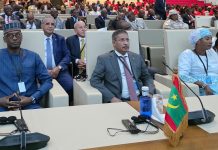La direction de « Asecna » et le comité des ministres approuvent l’adoption de la langue arabe comme l’une des langues officielles de l’agence