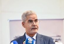 Ancien ministre : L’appel à un troisième mandat dépasse la constitution et doit être limité au cadre du dialogue