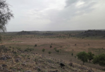 Découverte d’indications de cuivre solides dans le projet de Diaguili en Mauritanie